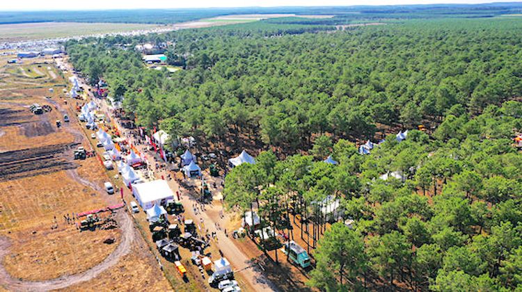 FORÊT ET BOIS - 25.000 personnes à Mimizan autour de la filière